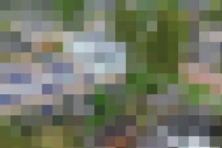 Fluit 28 Lemmer thumbnail 26