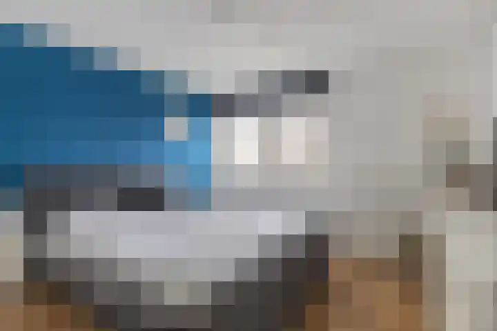 Fluit 28 Lemmer thumbnail 31