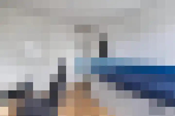 Fluit 28 Lemmer thumbnail 34