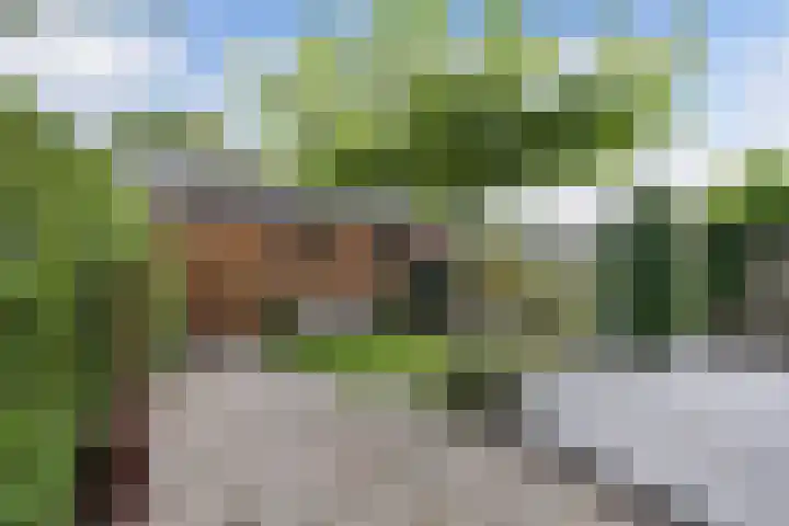 Fluit 28 Lemmer thumbnail 5