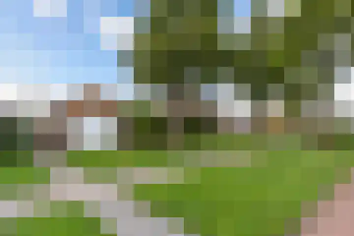 Fluit 28 Lemmer thumbnail 50