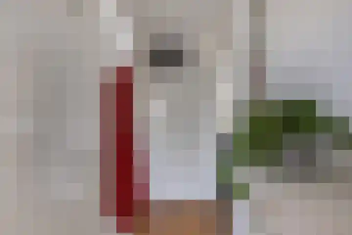 Fluit 28 Lemmer thumbnail 7