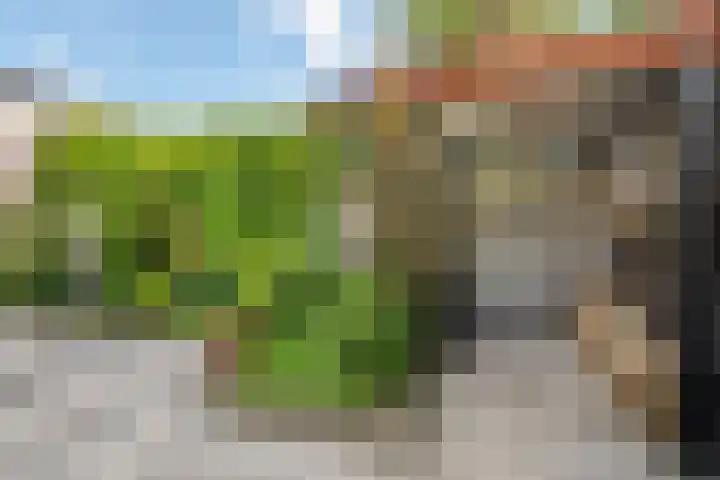 Fluitekamp 130 Hoogland thumbnail 19