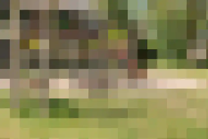 Fluitekamp 130 Hoogland thumbnail 33