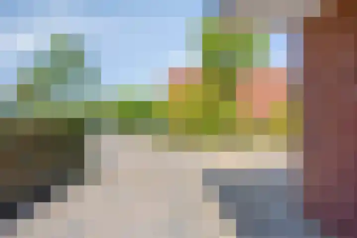 Fluitekamp 141 Hoogland thumbnail 11