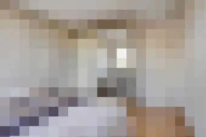 Fluitekamp 141 Hoogland thumbnail 21