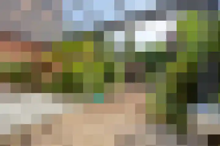 Fluitekamp 141 Hoogland thumbnail 29