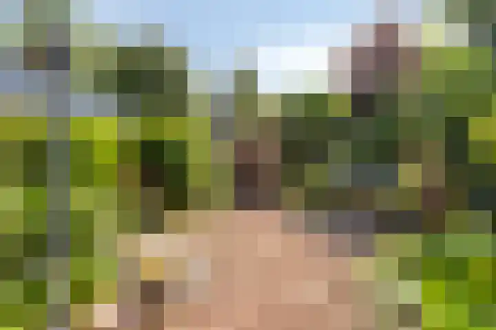 Fluitekamp 141 Hoogland thumbnail 31