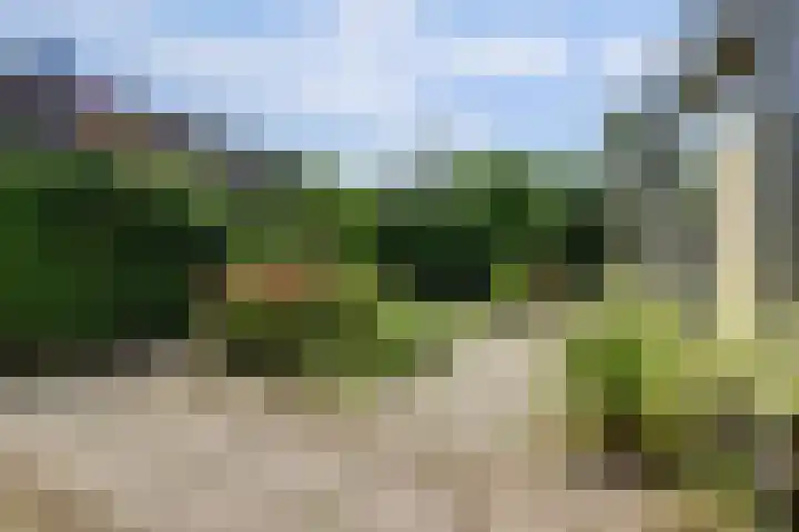 Fluitekamp 87 Hoogland thumbnail 28