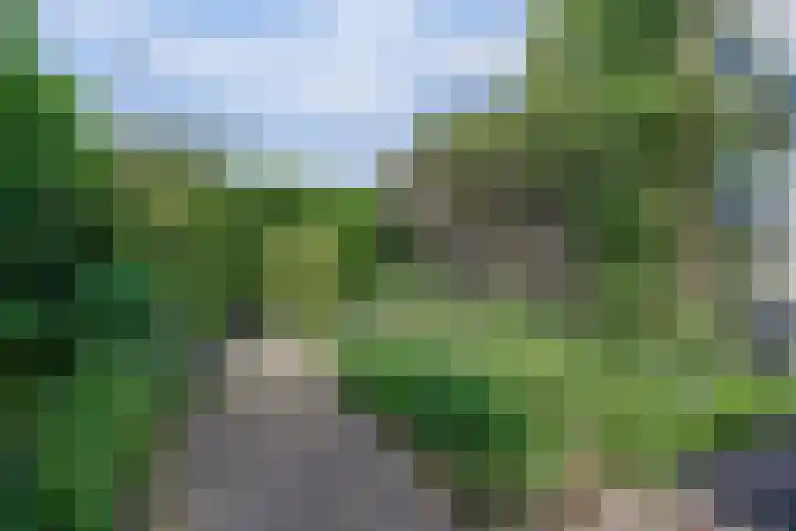 Fluitekamp 87 Hoogland thumbnail 32