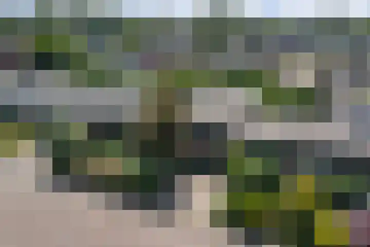 Fluitekamp 87 Hoogland thumbnail 39