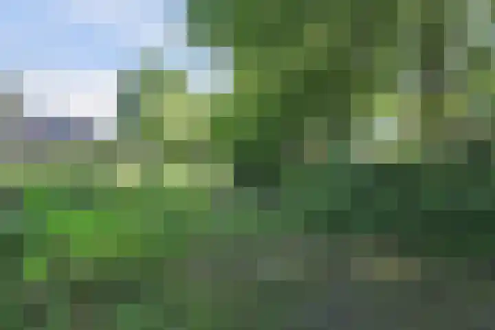 Fluitekamp 87 Hoogland thumbnail 42