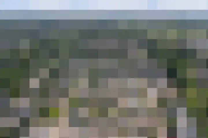 Fluitekamp 87 Hoogland thumbnail 43
