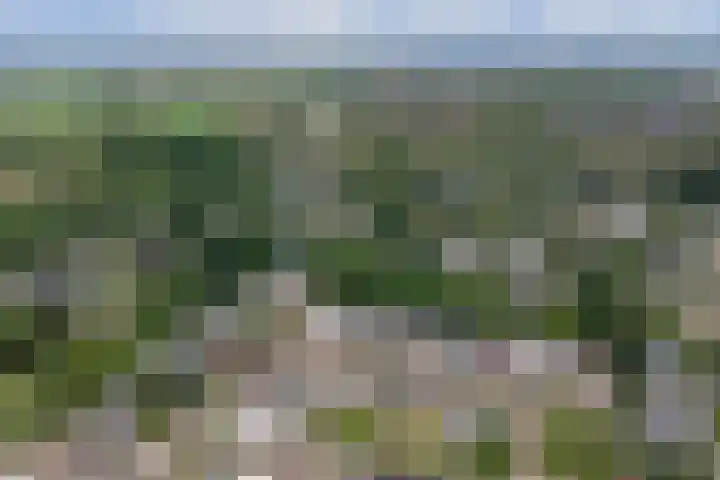 Fluitekamp 87 Hoogland thumbnail 44