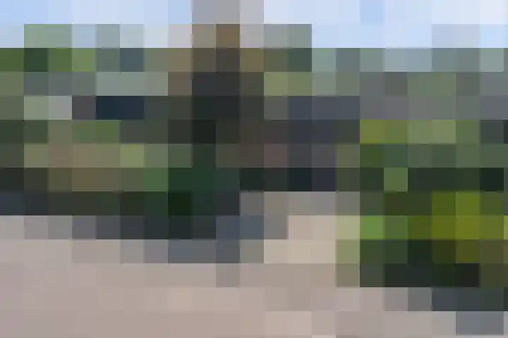 Fluitekamp 87 Hoogland thumbnail 46