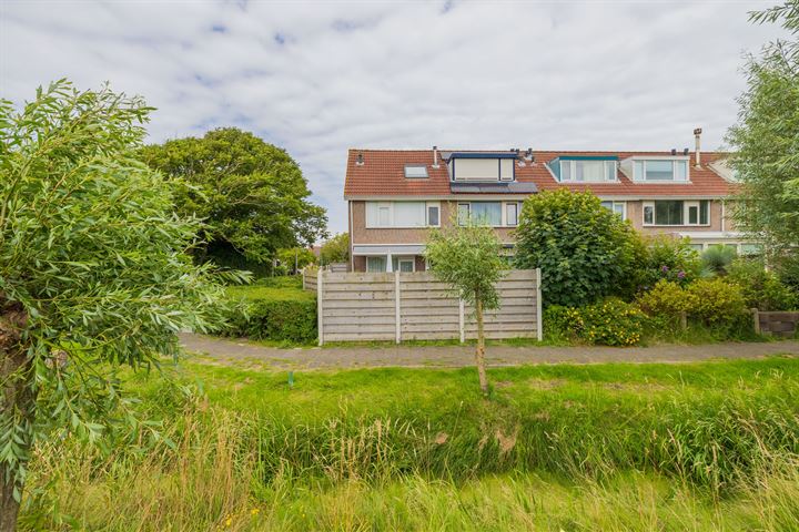 Fluitekruid 2 in Noordwijk foto