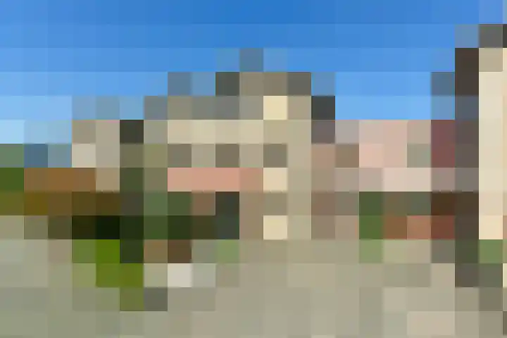 Fluitekruid 30 dans Mijdrecht
