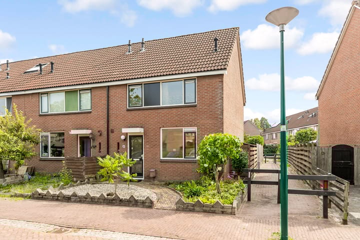 Fluitekruid 48 in Odijk foto