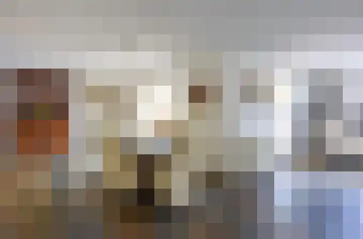 Fluitekruid 50 Venray thumbnail 11