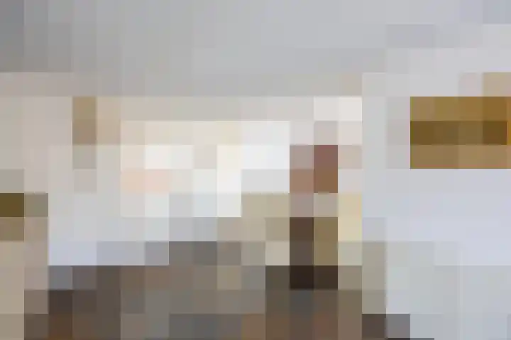 Fluitekruid 50 Venray thumbnail 12