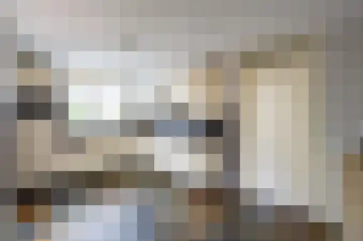 Fluitekruid 50 Venray thumbnail 13