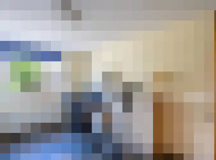 Fluitekruid 50 Venray thumbnail 15