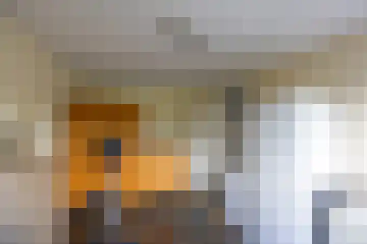 Fluitekruid 50 Venray thumbnail 16