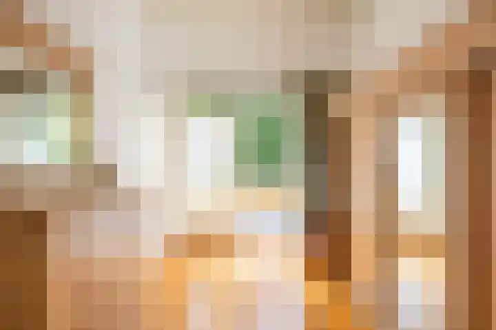Fluitekruid 50 Venray thumbnail 20