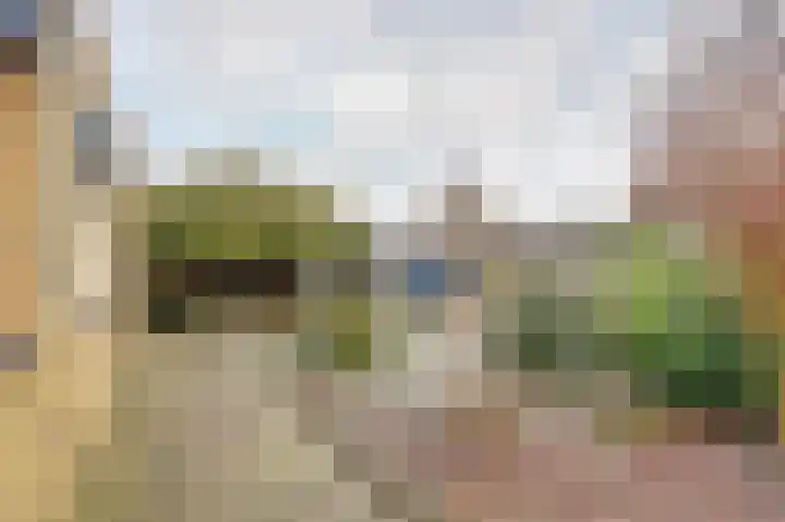 Fluitekruid 50 Venray thumbnail 26