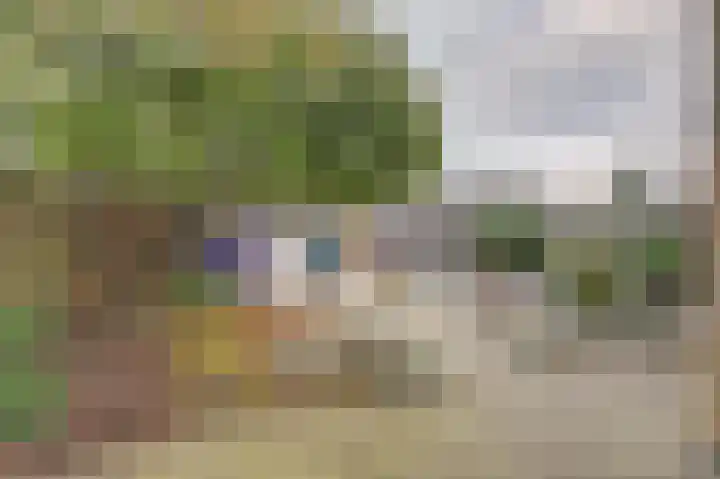 Fluitekruid 50 Venray thumbnail 28