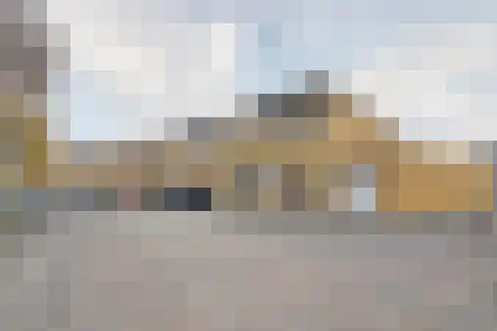 Fluitekruid 50 Venray thumbnail 32