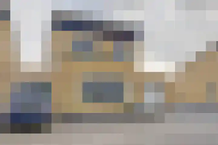 Fluitekruid 50 Venray thumbnail 33