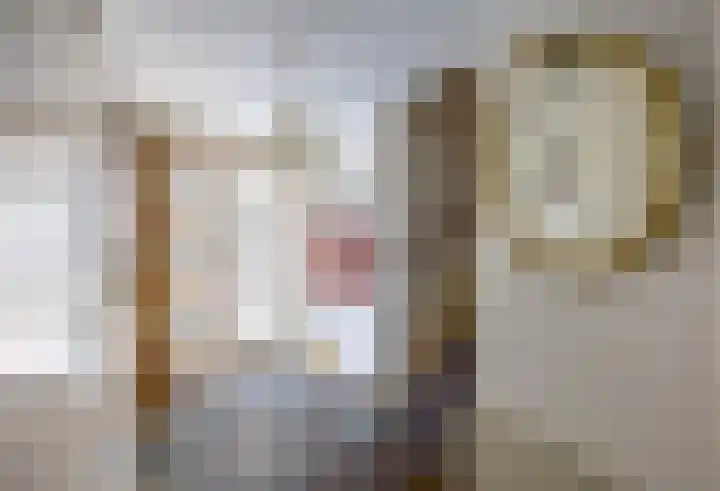 Fluitekruid 50 Venray thumbnail 5