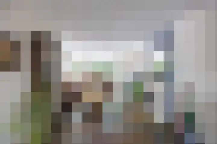 Fluitekruid 50 Venray thumbnail 7