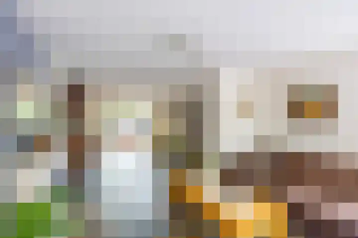 Fluitekruid 50 Venray thumbnail 8