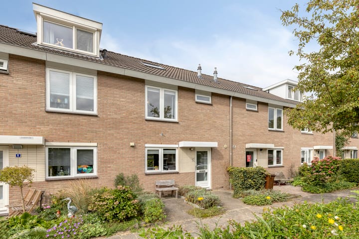 Fluitekruid 7 in Abcoude foto