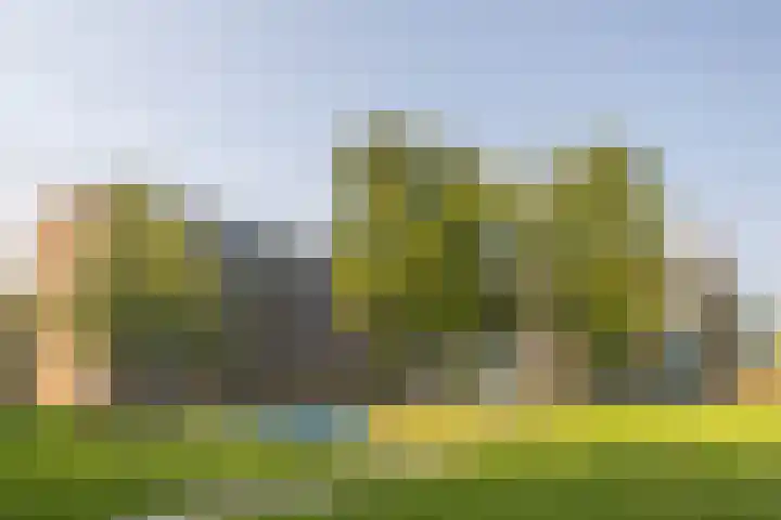 Fluitekruidweg 202 dans Zaandam