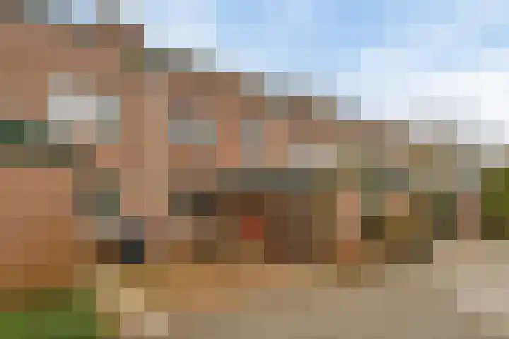 Fluitekruidzoom 8 Leiderdorp