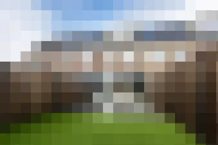 Fluitenkruid 23 Gorinchem thumbnail 22