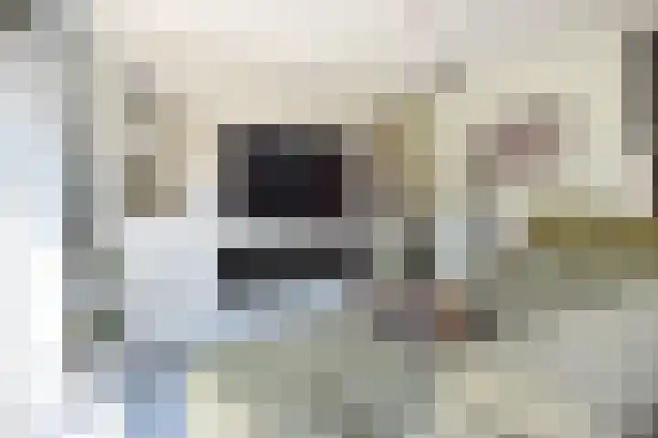 Fluitschipkade 17 Zoetermeer thumbnail 17