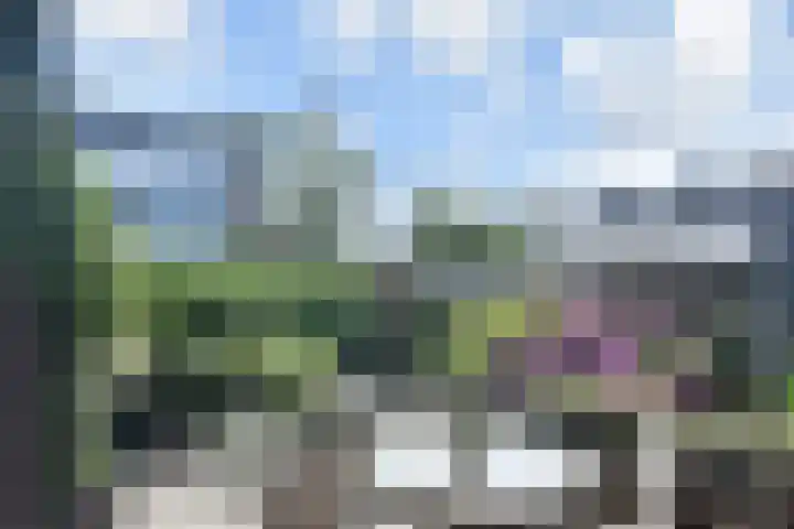Fluitschipkade 17 Zoetermeer thumbnail 20