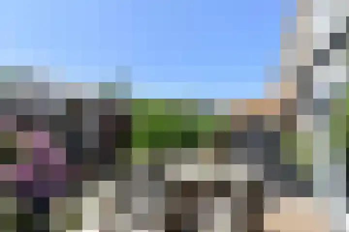 Fluitschipkade 17 Zoetermeer thumbnail 21