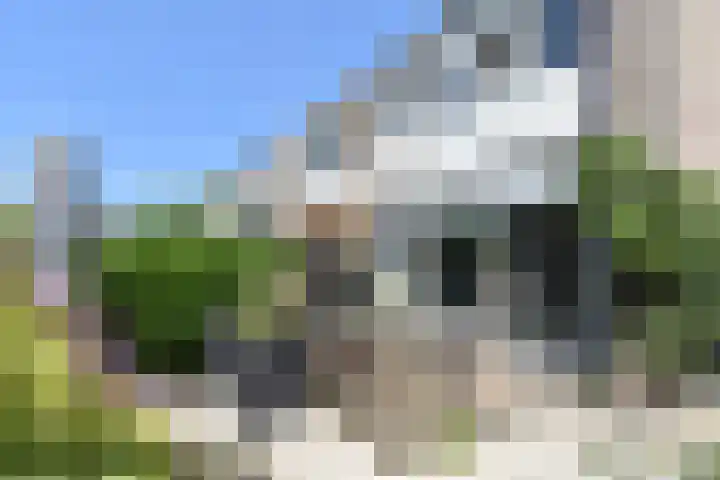 Fluitschipkade 17 Zoetermeer thumbnail 23