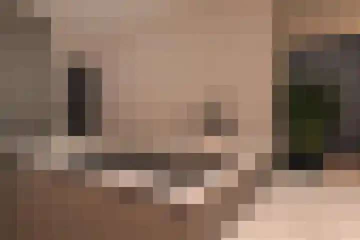 Fluitschipkade 17 Zoetermeer thumbnail 26