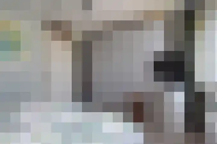 Fluitschipkade 17 Zoetermeer thumbnail 35