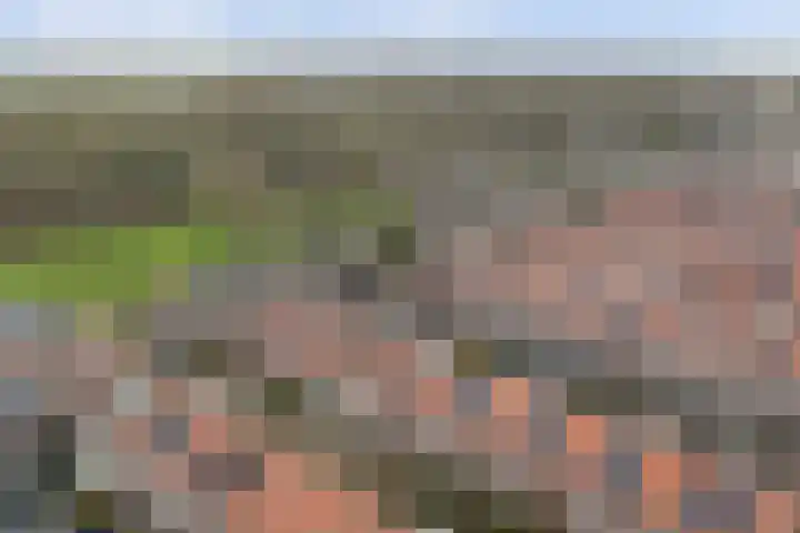 Fluitschipkade 17 Zoetermeer thumbnail 43