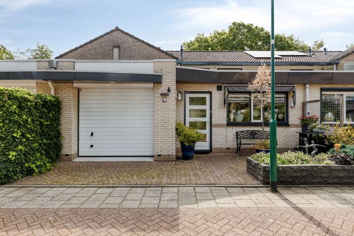 Fluweelmos 7 in Veenendaal foto