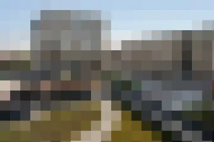 Fluwijn 499 's-Gravenzande thumbnail 10