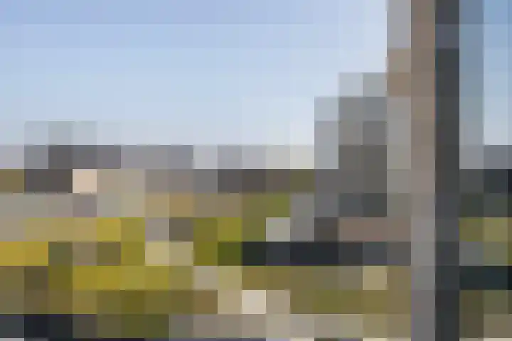 Fluwijn 499 's-Gravenzande thumbnail 8