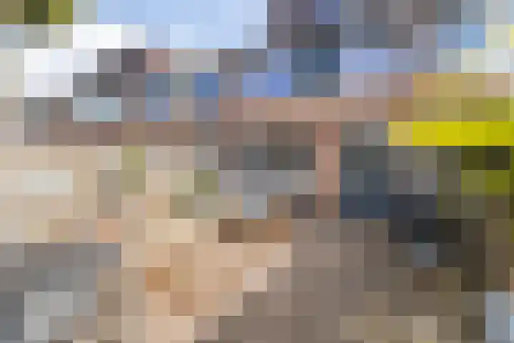 Fluytschip 42 De Rijp thumbnail 40
